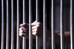 Giảm án phạt tù cho 606 phạm nhân dịp Tết Kỷ Hợi 2019