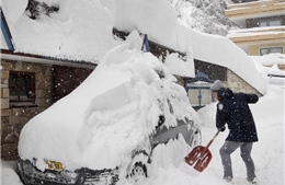 Nhiều người thương vong, mất tích do tuyết rơi dày đặc tại châu Âu
