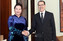 Tăng cường quan hệ kinh tế, văn hóa giữa Việt Nam - Maroc