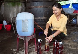 Xây dựng nông thôn mới ở Quảng Nam: Bài 3-Tạo những bước đi vững chắc