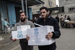 Liên hợp quốc: Ngân sách viện trợ lương thực cho Palestine thiếu hụt nghiêm trọng