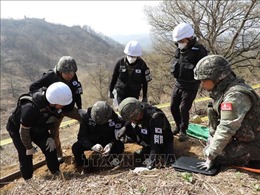 Mỹ - Hàn xác định danh tính hài cốt binh lính trong Chiến tranh Triều Tiên