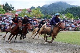 Giải đua ngựa truyền thống Bắc Hà 2019 thu hút hàng vạn du khách