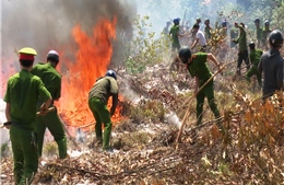 Quảng Trị cháy gần 11 ha rừng tràm và thực bì