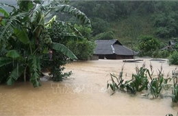 Sơn La: Một trường hợp tử vong, hàng chục nhà dân bị ngập sâu do mưa lũ
