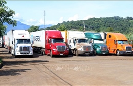Ùn tắc 550 xe container chở thanh long tại Cửa khẩu Lào Cai