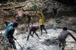 Sập mỏ vàng làm hàng chục người thiệt mạng tại Congo
