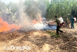 Nguy cơ cháy rừng ở Đồng Nai ở mức cực kỳ nguy hiểm