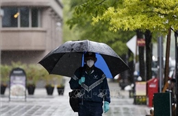 Thế giới ghi nhận trên 3.330.800 ca mắc COVID-19, 234.769 ca tử vong