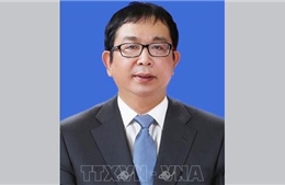 Thủ tướng Chính phủ bổ nhiệm Phó Tổng Giám đốc Thông tấn xã Việt Nam