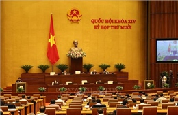  Thúc đẩy quyền lợi của người lao động Việt Nam đi làm việc tại nước ngoài