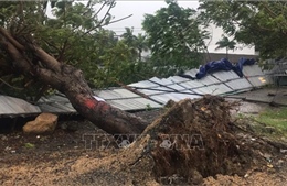 Huyện Vạn Ninh (Khánh Hòa) có mưa rất to, nhiều xã mất điện