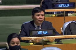 &#39;Thành tựu chống dịch COVID-19 của Việt Nam khiến các nước ủng hộ nghị quyết do Việt Nam đề xuất&#39;
