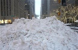 Bang New York bị nhấn chìm trong bão tuyết đầu mùa