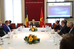 Doanh nghiệp Bỉ mong muốn tăng cường đầu tư vào Việt Nam