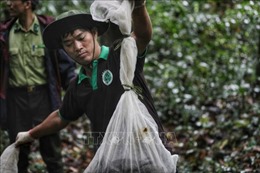 Chung tay bảo vệ loài hoang dã tại Việt Nam - Bài 3: Tuyên truyền bảo vệ trong tình hình mới