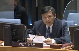 Việt Nam kêu gọi thúc đẩy nối lại đàm phán về vấn đề Palestine