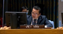 Việt Nam đề cao việc tìm kiếm giải pháp hoà bình lâu dài cho Kosovo