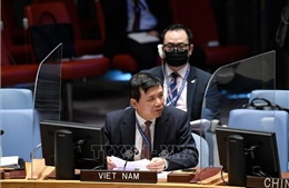 Việt Nam kêu gọi Mali tăng cường hòa hợp dân tộc, thực hiện lộ trình chuyển tiếp