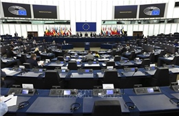 Nghị viện châu Âu nhóm họp tại Strasbourg lần đầu tiên trong 15 tháng 