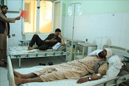 Taliban sát hại 10 nhân viên của tổ chức ra phá bom mìn HALO Trust  