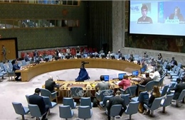 Hội đồng Bảo an Liên hợp quốc thảo luận mở định kỳ về tình hình Trung Đông