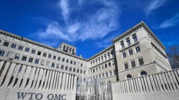 Saudi Arabia khiếu nại lên WTO về việc EU áp thuế chống phá giá