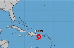 Bão nhiệt đới Fred hình thành ngoài khơi Puerto Rico