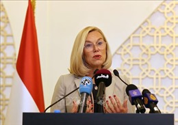 Ngoại trưởng Hà Lan từ chức vì cuộc khủng hoảng sơ tán ở Afghanistan