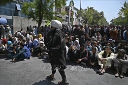 Afghanistan: Taliban phong tỏa tài khoản ngân hàng của quan chức chính quyền cũ 