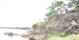 Quảng Trị: Sạt lở nghiêm trọng nhiều bờ sông ngay đầu mùa mưa bão