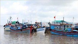 Thêm nhiều biện pháp chống khai thác hải sản bất hợp pháp