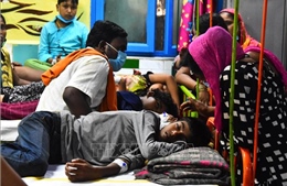 Hàng chục người bị tử vong tại Ấn Độ nghi do sốt xuất huyết