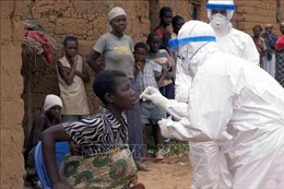 Đợt nhiễm virus Marburg đầu tiên ở Tây Phi đã chấm dứt