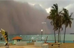 Bão cát mạnh bất thường tại Brazil khiến ít nhất 6 người thiệt mạng 