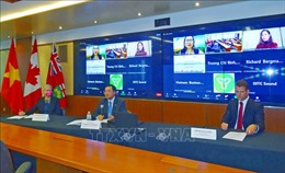 Hợp tác Việt Nam - Canada trong chuỗi cung ứng: Hiện tại và Tương lai