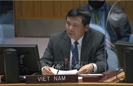 Việt Nam ủng hộ tiến trình hòa bình, hòa giải dân tộc của Colombia