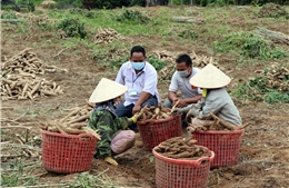 Củng cố, kiện toàn tổ chức Đảng ở thôn, làng - Kinh nghiệm từ Sa Thầy, Kon Tum