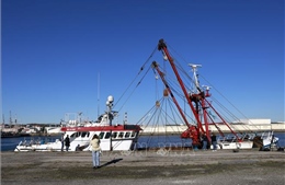 Anh bác tuyên bố của Pháp liên quan tranh cãi về quyền đánh bắt cá
