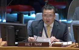 Việt Nam nhấn mạnh việc cần tôn trọng và thực thi Công ước Cấm vũ khí hóa học