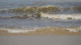 Quảng Ngãi: Xử lý nước biển ven bờ có màu bất thường tại khu vực xã Bình Thạnh