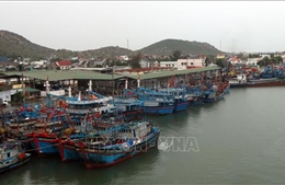 Ninh Thuận: Không để người dân ở lại trên tàu thuyền, lồng bè nuôi thủy sản