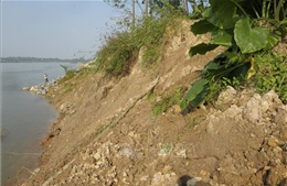 Hà Nội: Khẩn cấp xây dựng công trình ngăn chặn sạt lở bờ hữu sông Đà  