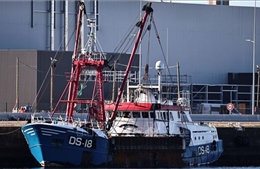 Anh triệu Đại sứ Pháp liên quan tranh cãi về quyền đánh cá 