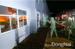 Điều tra nguyên nhân vụ cháy lớn tại Đồng Nai