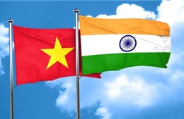 Làm sâu sắc hơn quan hệ Đối tác chiến lược toàn diện Việt Nam-Ấn Độ
