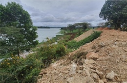 Xem xét trách nhiệm lãnh đạo địa phương để xảy ra việc lấn chiếm lòng hồ Đại Ninh
