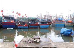 Ứng phó với bão Rai: Quảng Trị không cho tàu thuyền ra khơi từ 19 giờ ngày 17/12
