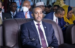 Thủ tướng Somalia bị đình chỉ chức vụ do liên quan bê bối tham nhũng
