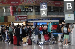 Kiều bào Việt Nam ở Nhật Bản hoan nghênh việc nối lại đường bay giữa hai nước